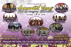 ONLINEBACK-2018AVBAnniversaryTICKET